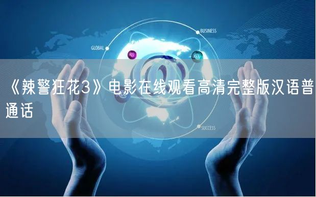 《辣警狂花3》电影在线观看高清完整版汉语普通话