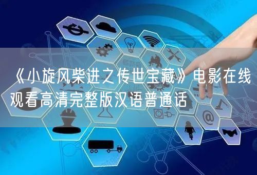《小旋风柴进之传世宝藏》电影在线观看高清完整版汉语普通话