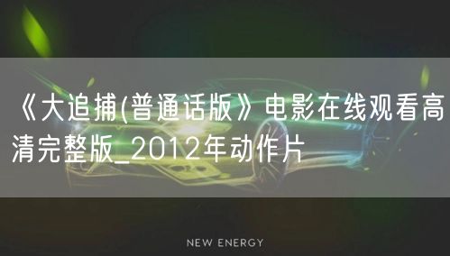 《大追捕(普通话版》电影在线观看高清完整版_2012年动作片